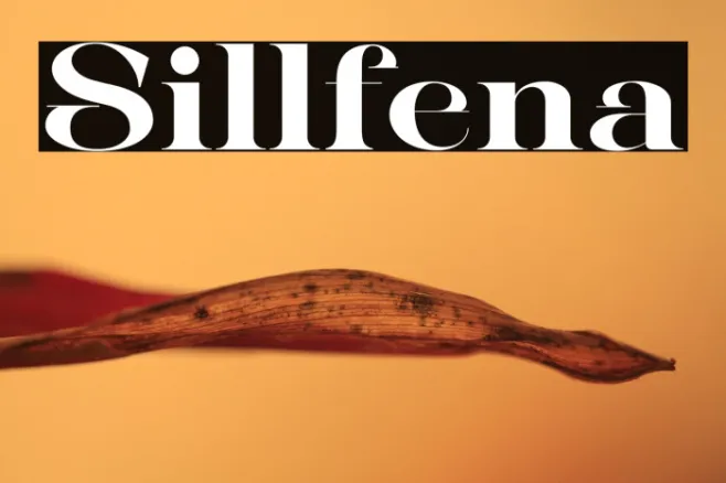 Sillfena Example 2