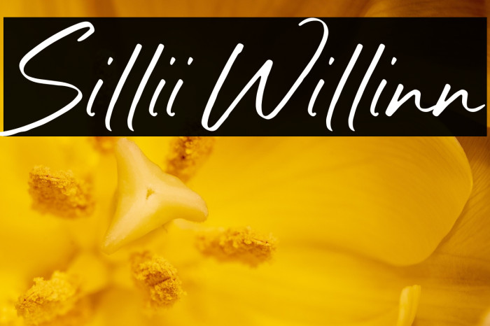 Sillii Willinn Example 1