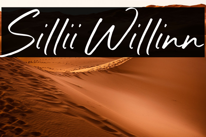 Sillii Willinn Example 2