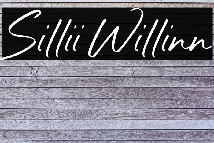 Sillii Willinn Example 3