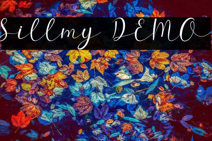 Sillmy DEMO Example 1