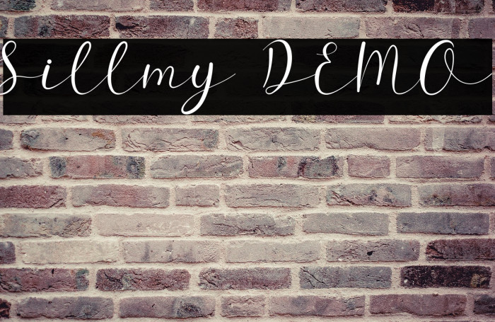 Sillmy DEMO Example 2