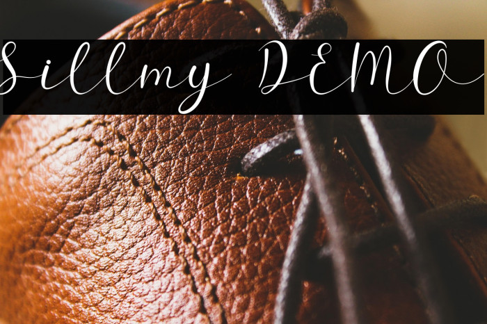 Sillmy DEMO Example 3