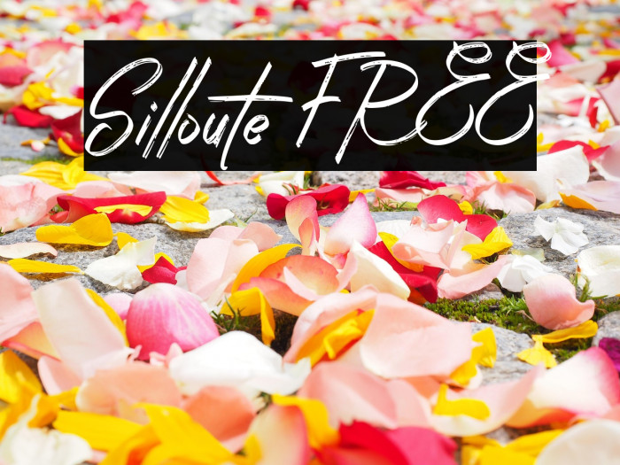 Silloute FREE Example 2