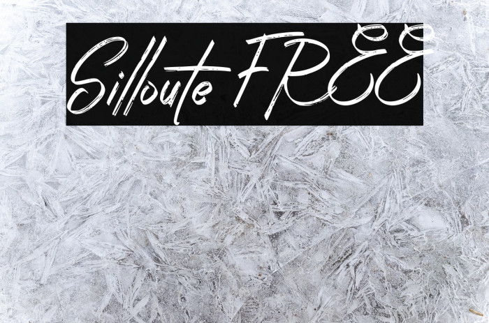 Silloute FREE Example 3