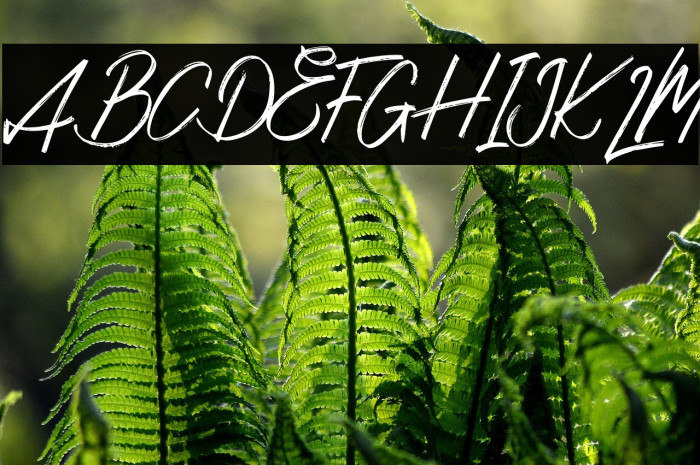 SillouteFREE Example 1