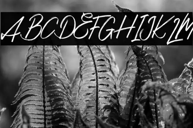 SillouteFREE Font examples