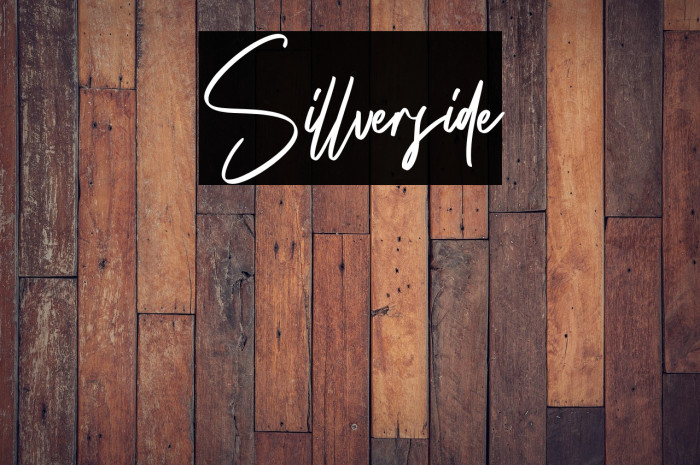 Sillverside Example 1