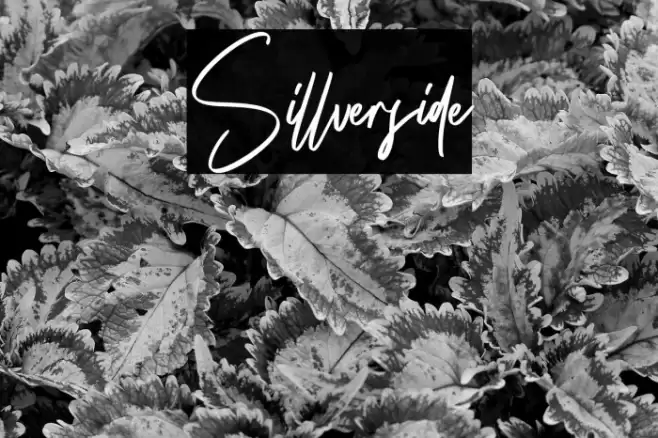Sillverside Font examples