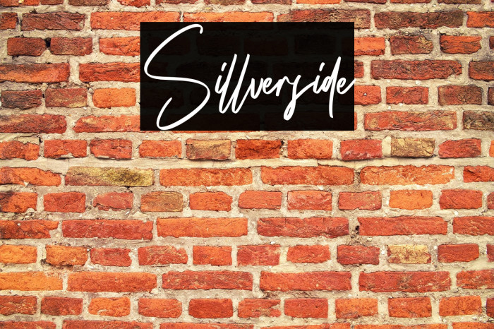 Sillverside Example 3