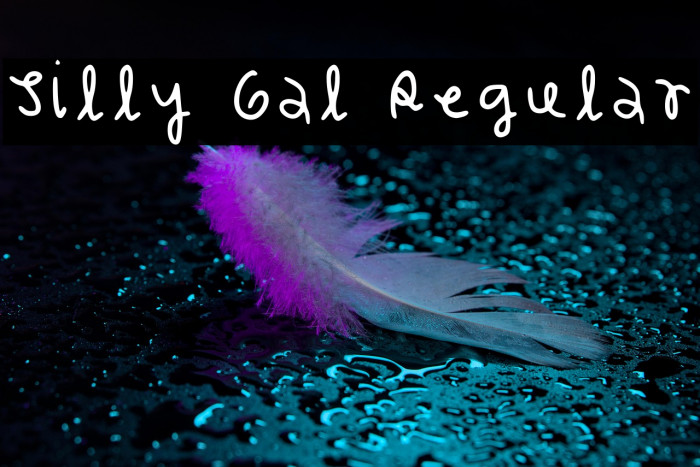 Silly Gal Regular Example 1