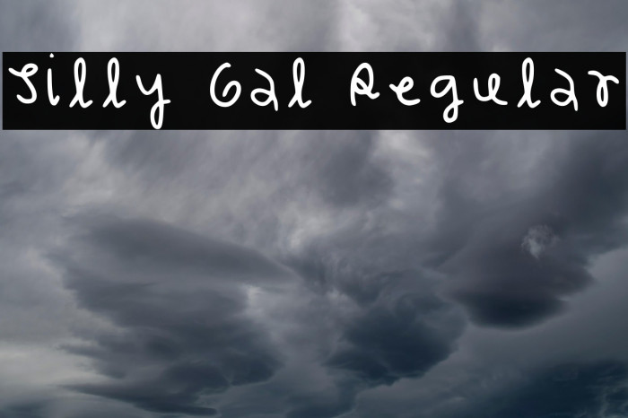 Silly Gal Regular Example 2