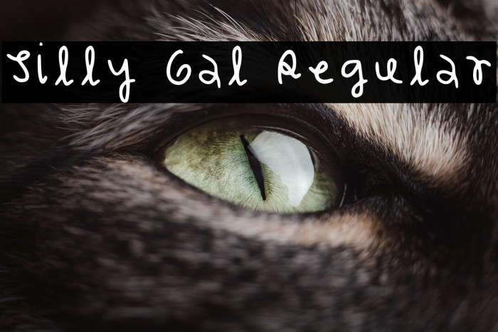 Silly Gal Regular Example 3