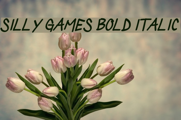 Silly Games Bold Italic Font examples