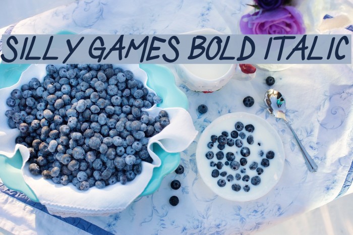 Silly Games Bold Italic Font examples