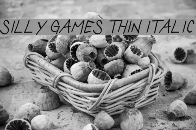 Silly Games Thin Italic Font examples