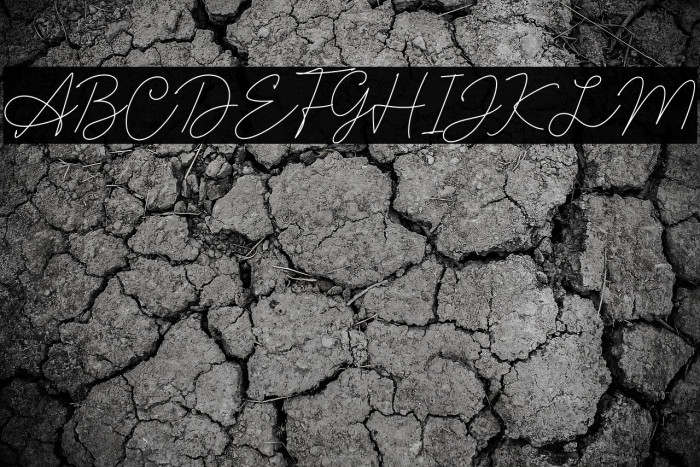 Silly Girls Example 3