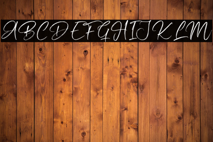 Silly Goose Example 1