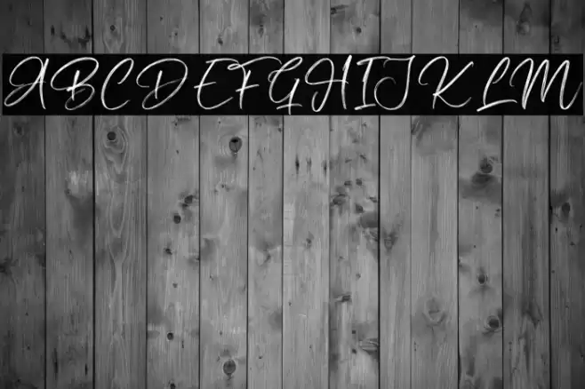 Silly Goose Font examples