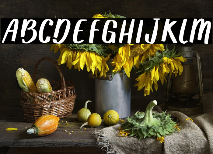 Silly Patrick Example 2