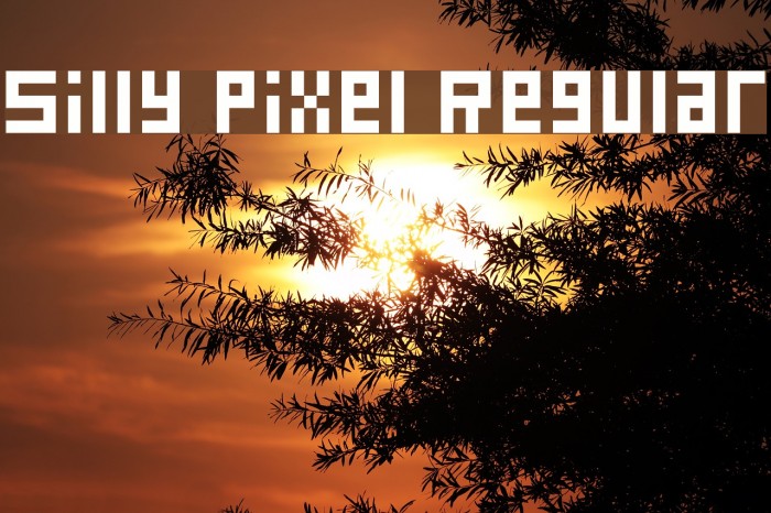 Silly Pixel Regular Font examples