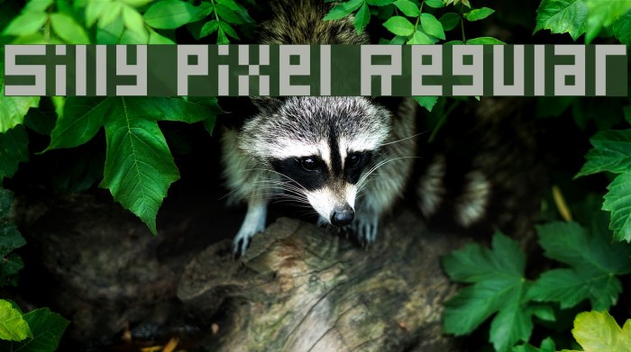 Silly Pixel Regular Font examples