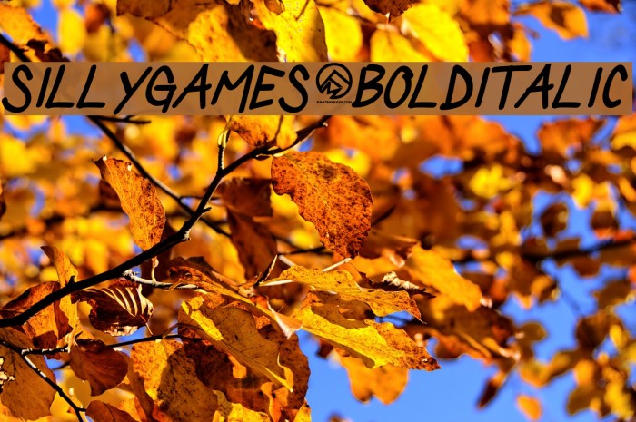SillyGames-BoldItalic Font examples