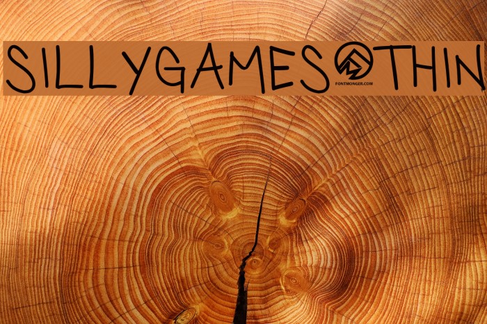 SillyGames-Thin Example 1