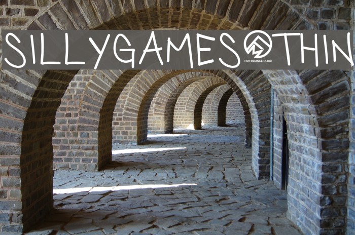 SillyGames-Thin Example 2