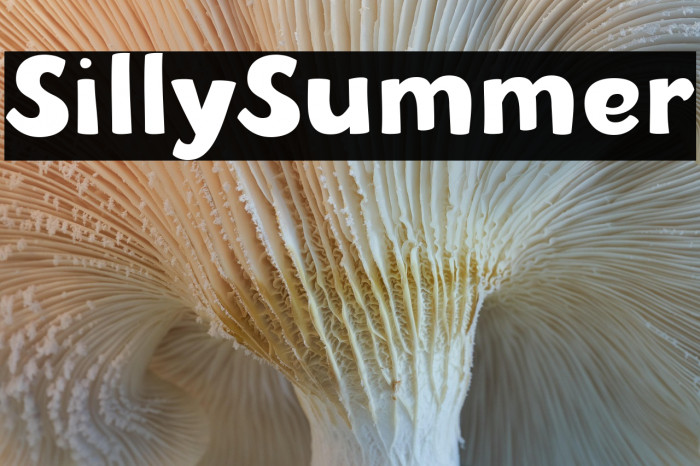 SillySummer Example 1