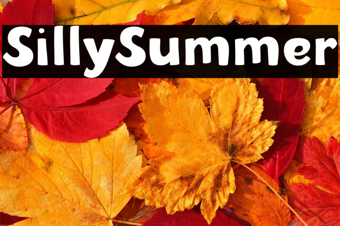 SillySummer Example 3