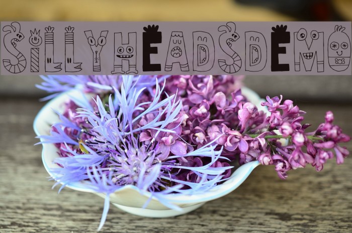 SillyheadsDEMO Example 3