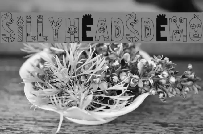 SillyheadsDEMO Font examples