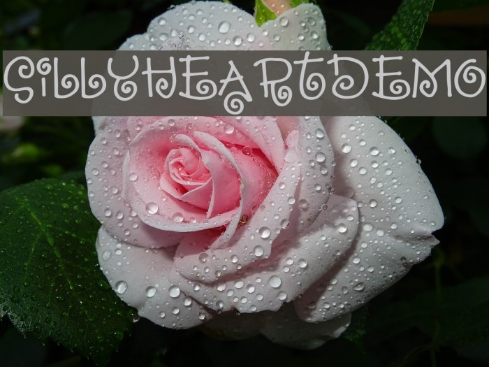 SillyheartDEMO Font examples