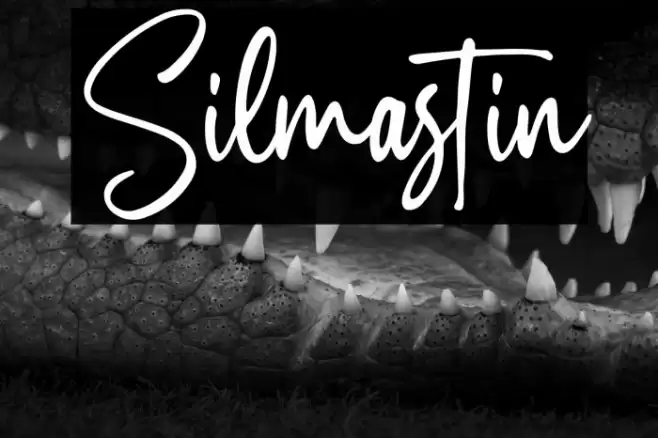Silmastin Font examples