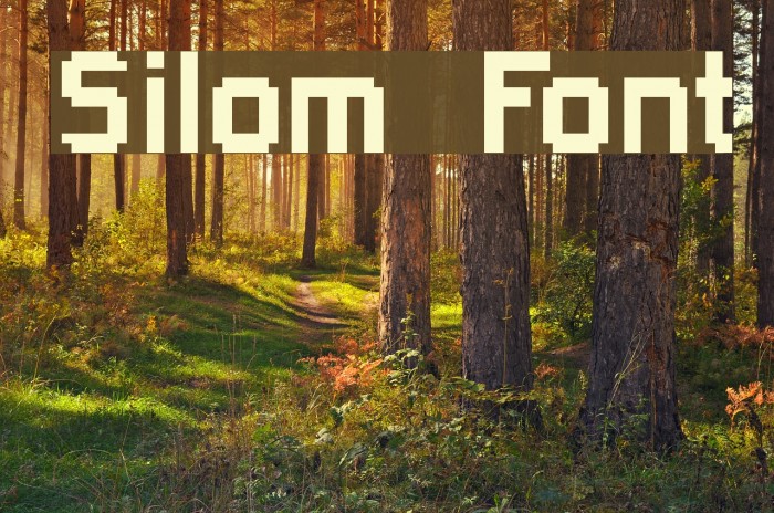 Silom Font examples