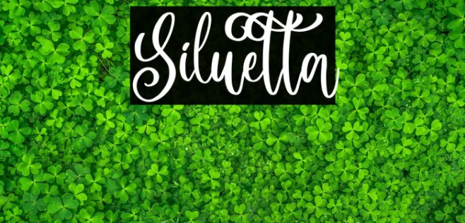 Siluetta Example 2