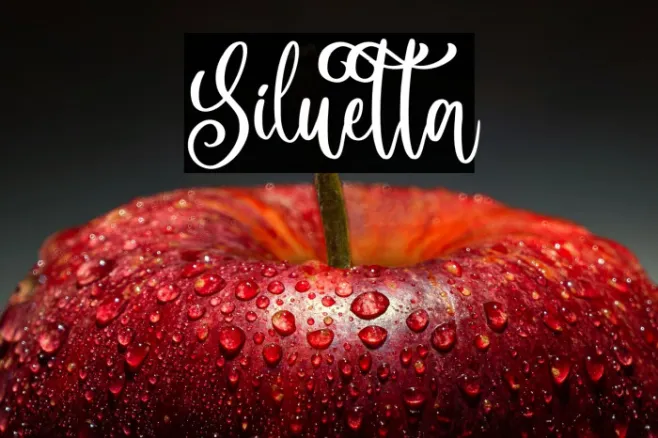 Siluetta Example 3