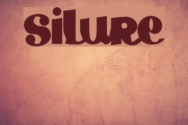 Silure Example 2