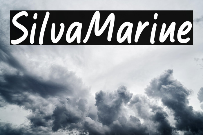 Silva Marine Example 1