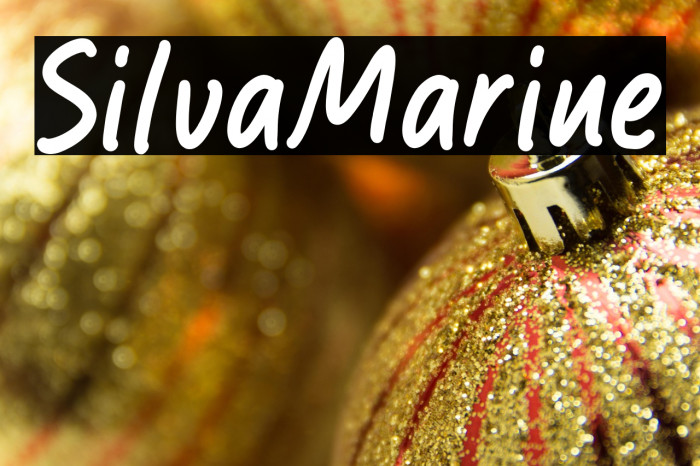 Silva Marine Example 2