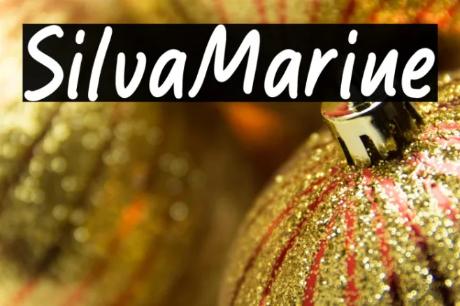 Silva Marine Example 2