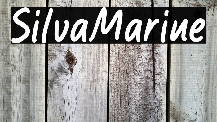 Silva Marine Example 3