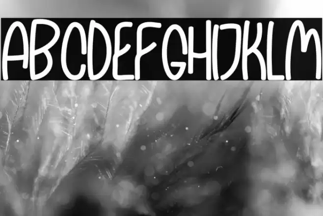 Silvana Bright Font examples