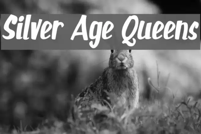 Silver Age Queens Font examples