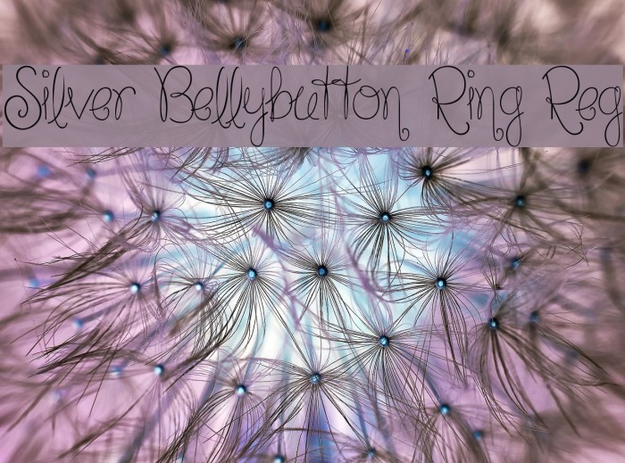 Silver Bellybutton Ring Reg Font examples