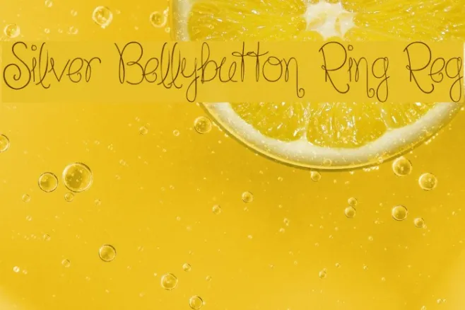 Silver Bellybutton Ring Reg Example 2