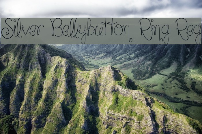 Silver Bellybutton Ring Reg Font examples