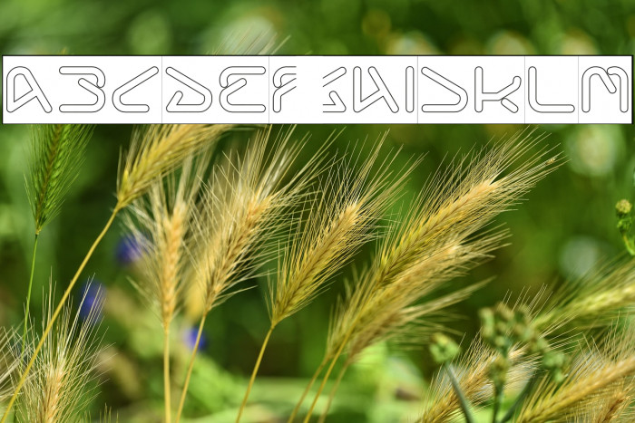 Silver Bend-Hollow-Inverse Example 1