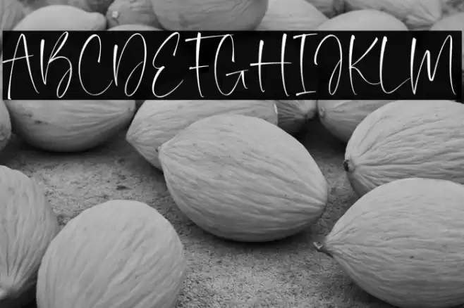 Silver Brighter Font examples